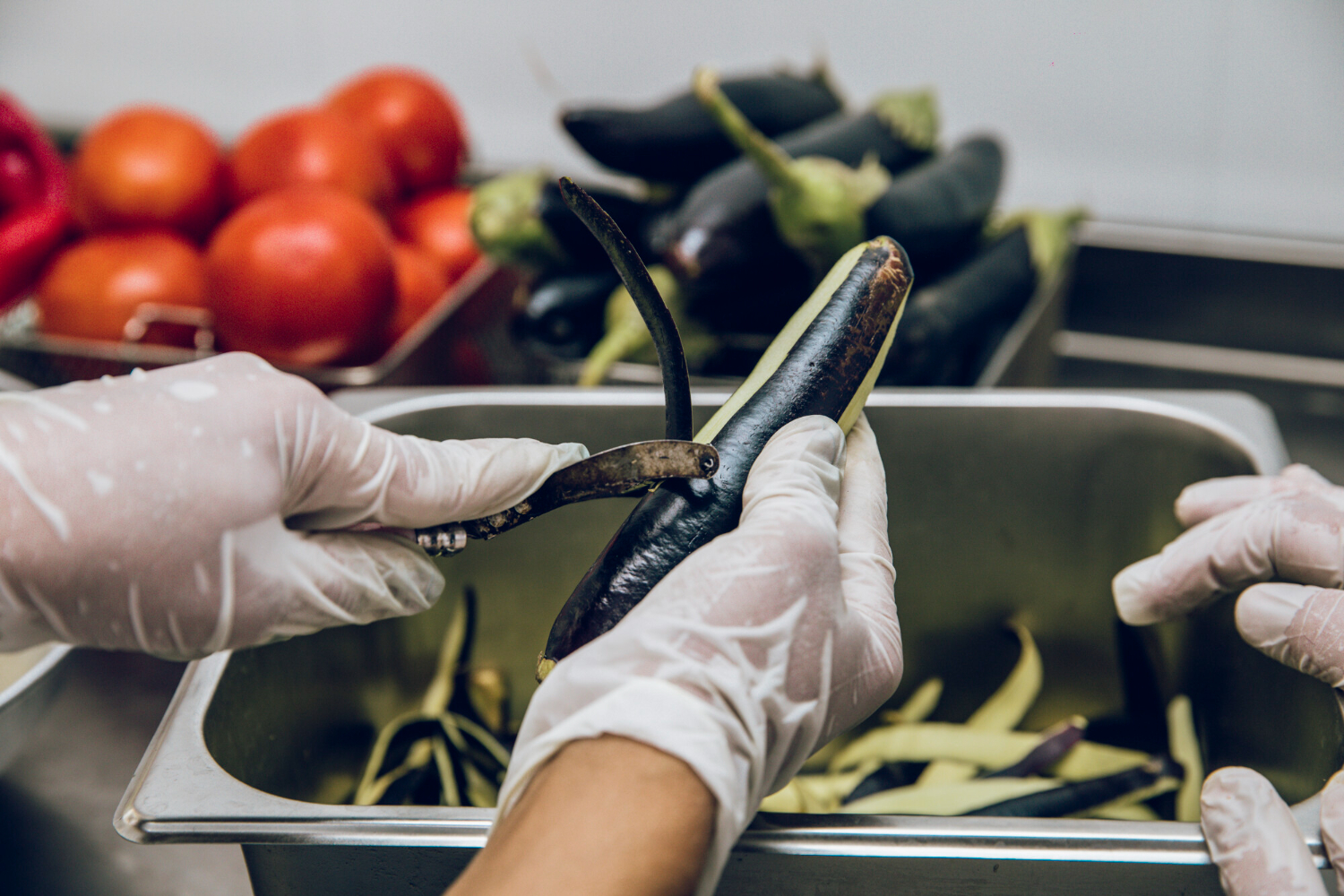 Nutrición – Inocuidad y Manipulación Alimentaria